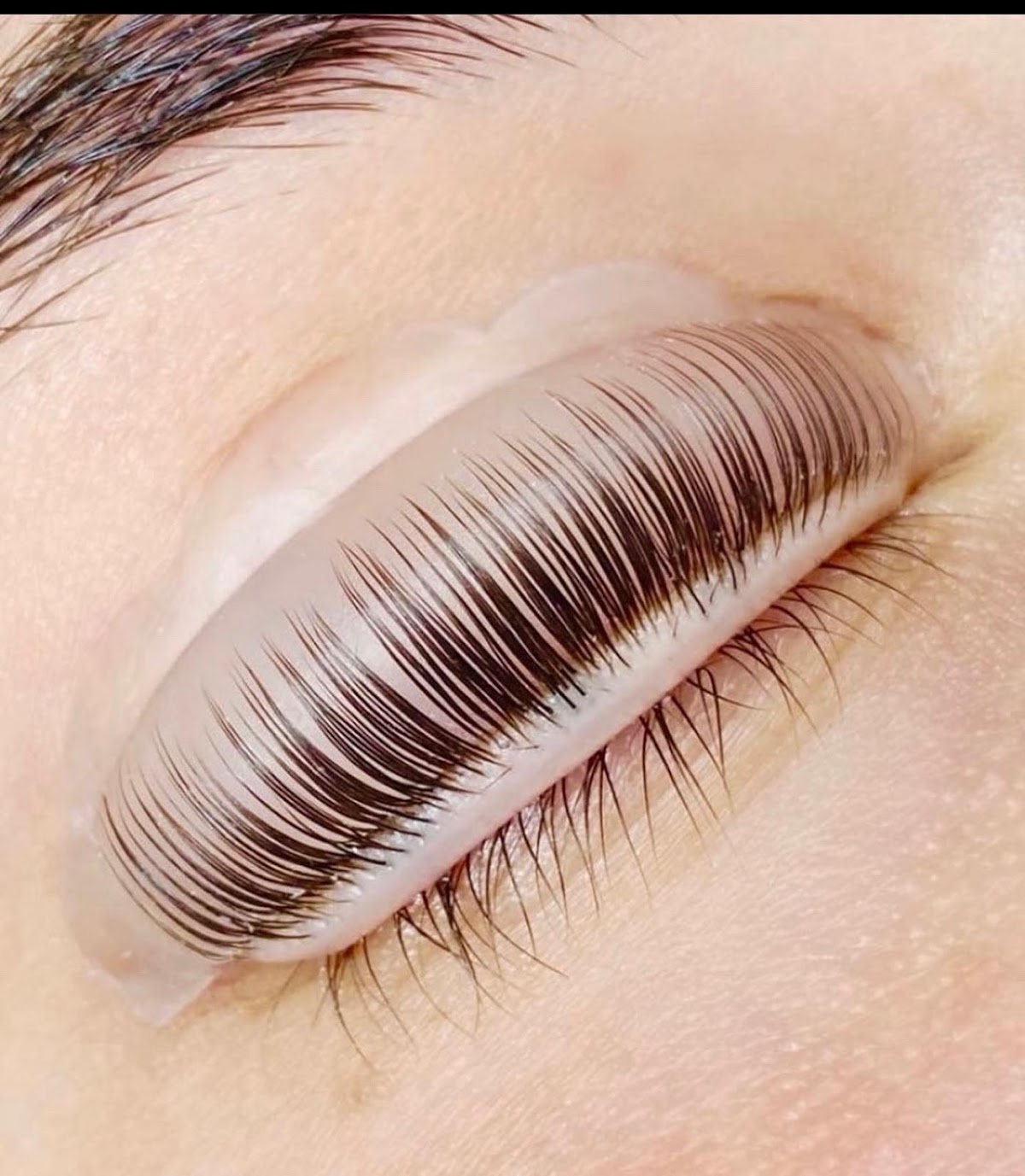 Clari Cejas y Salon