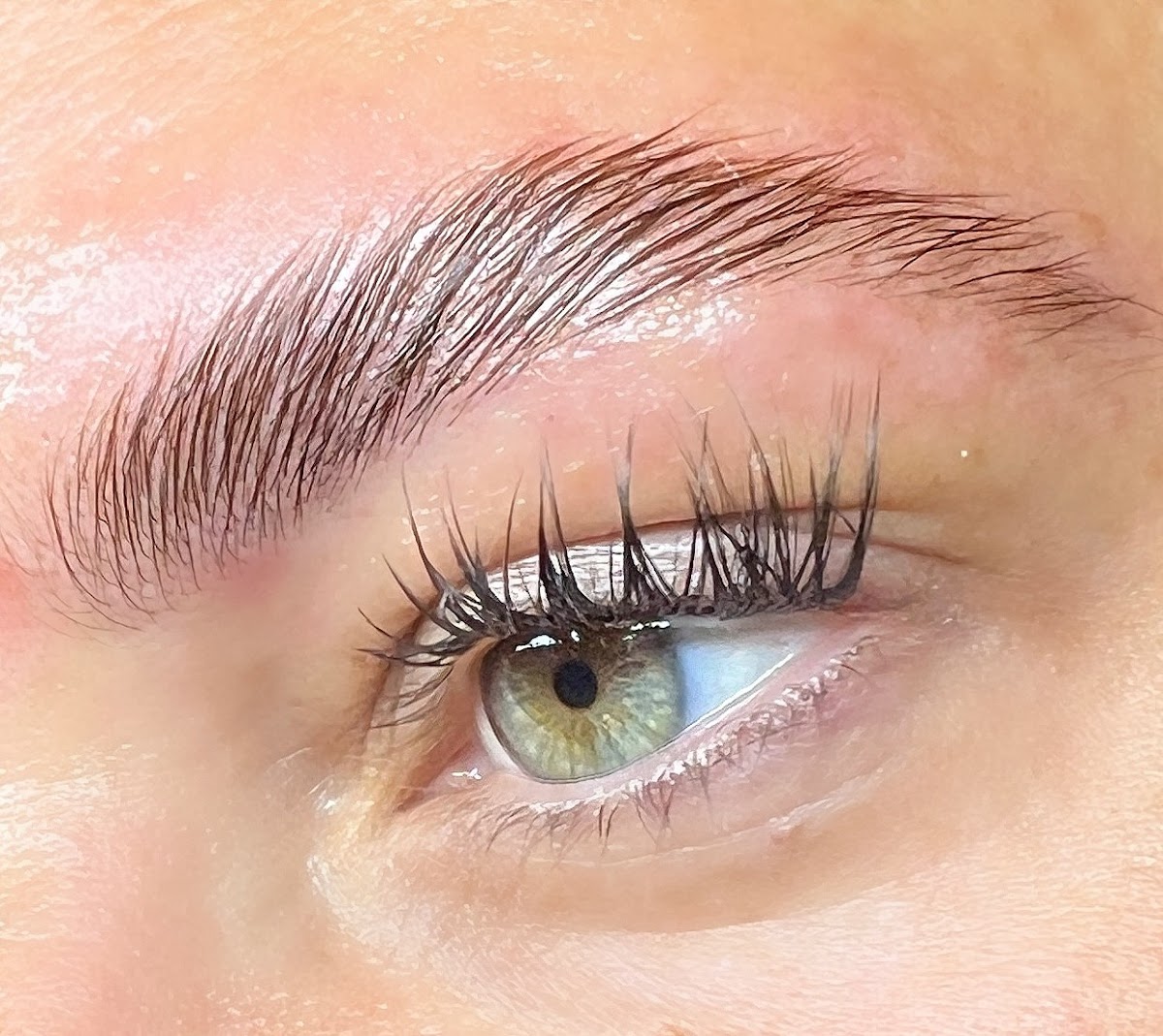 Lash And Brow Design Co