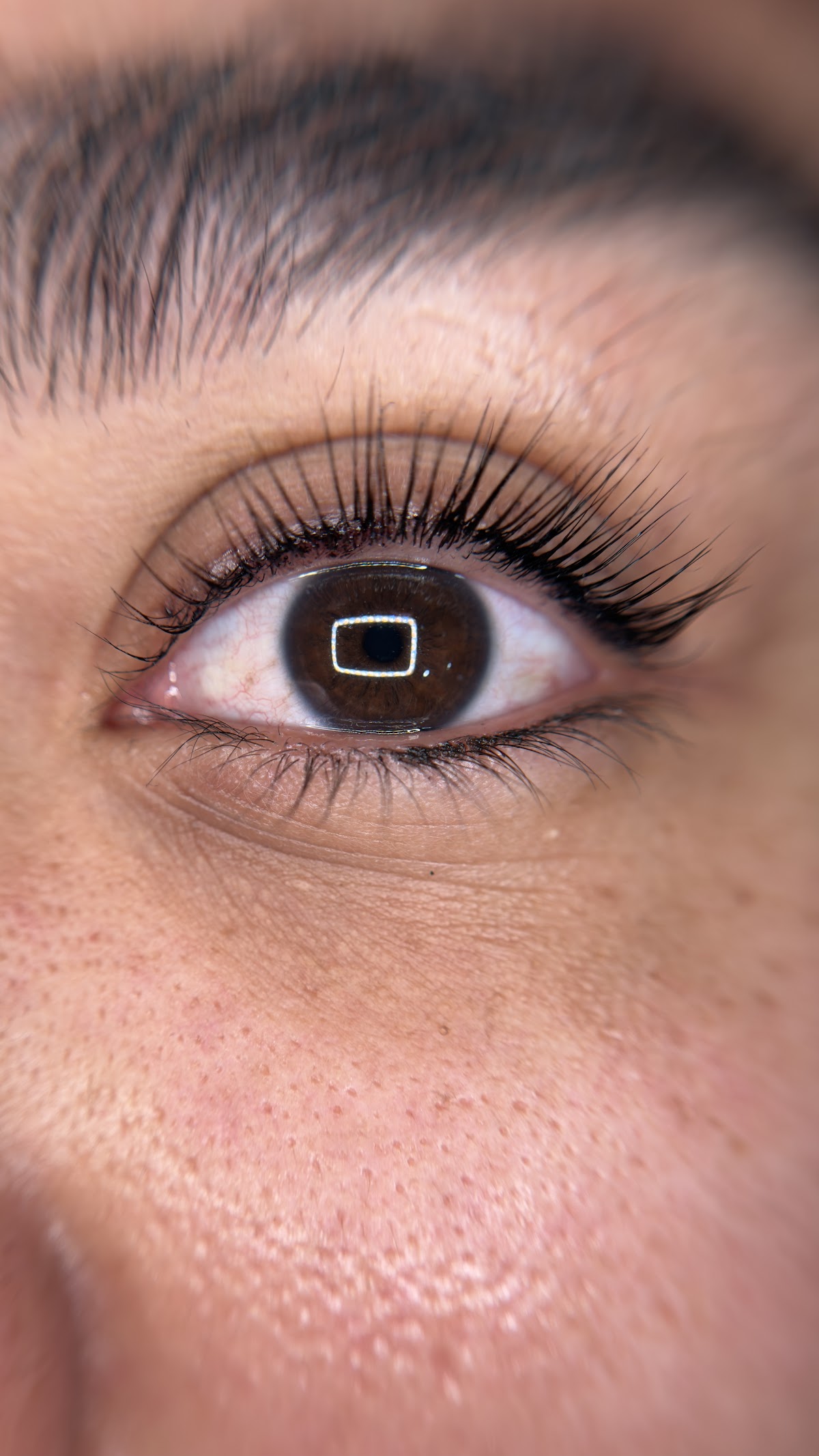 Laura Vargas cejas y pestanas