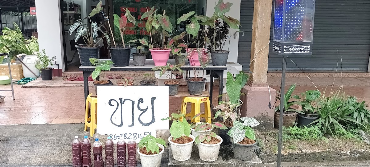 Nui Beauty Salon