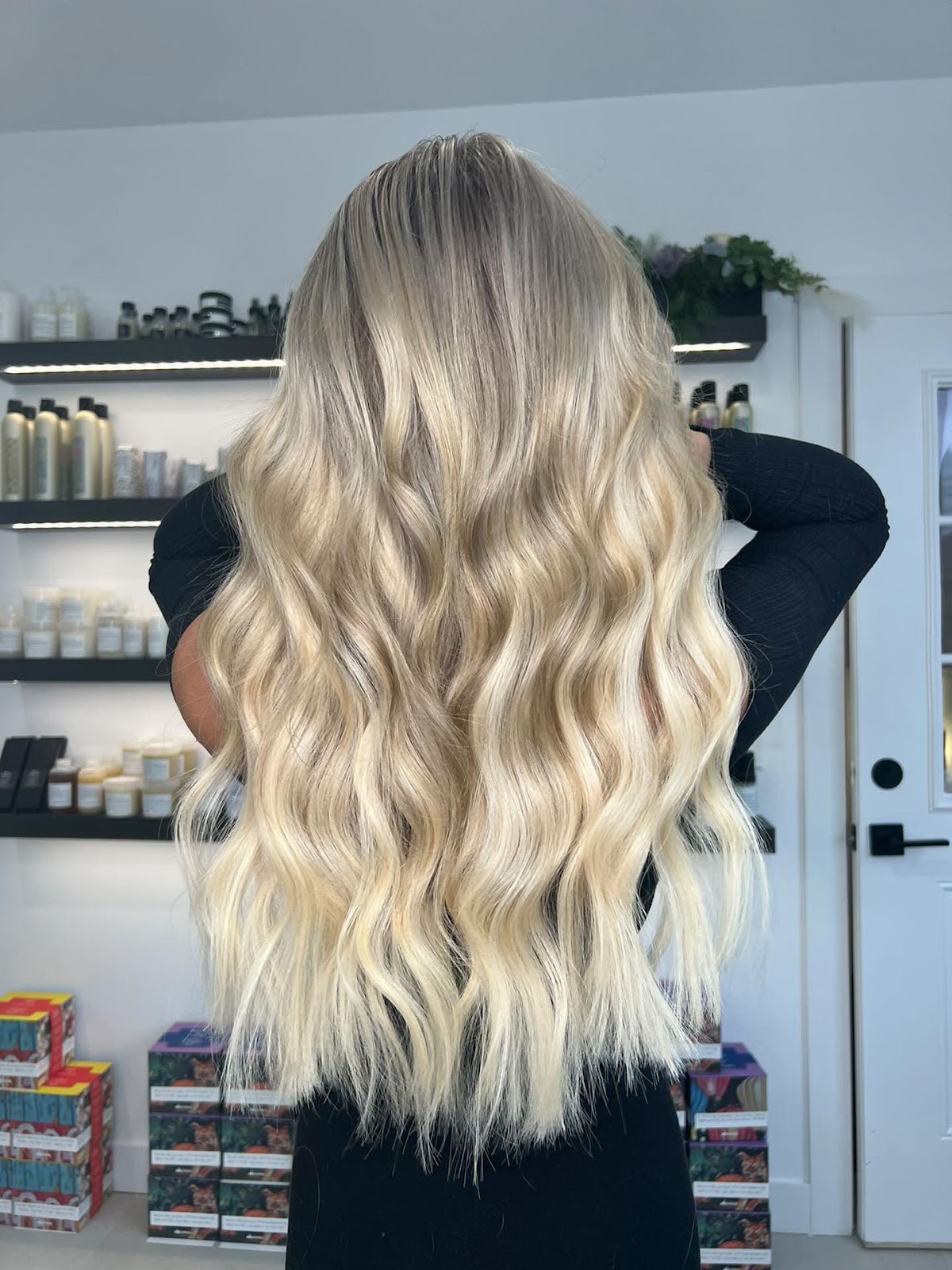 The Mastered Mane