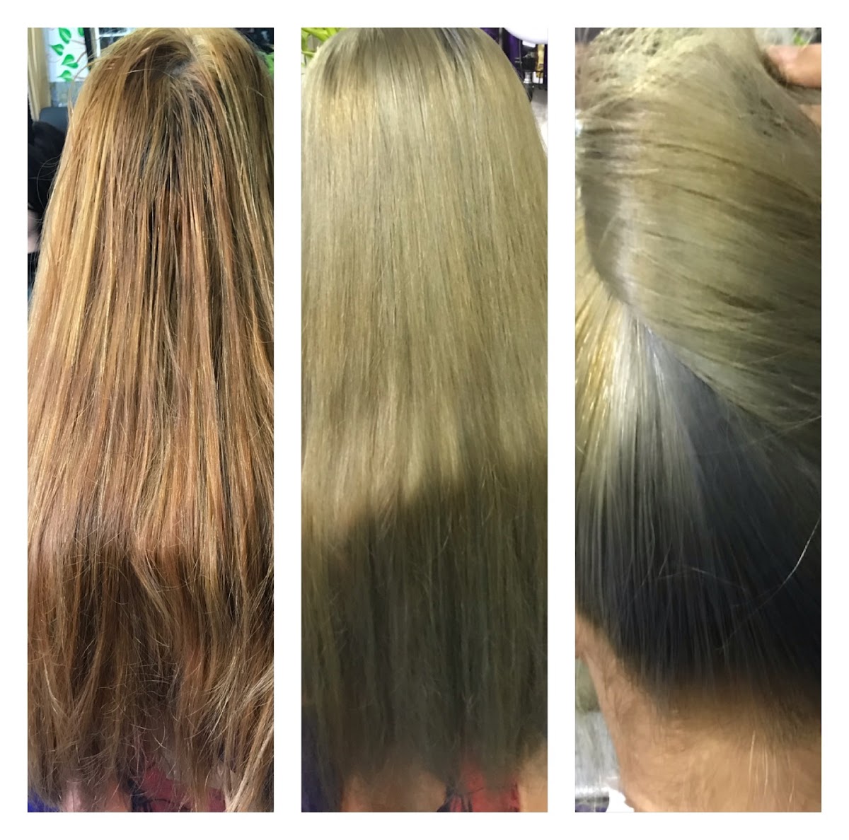 Salon looks