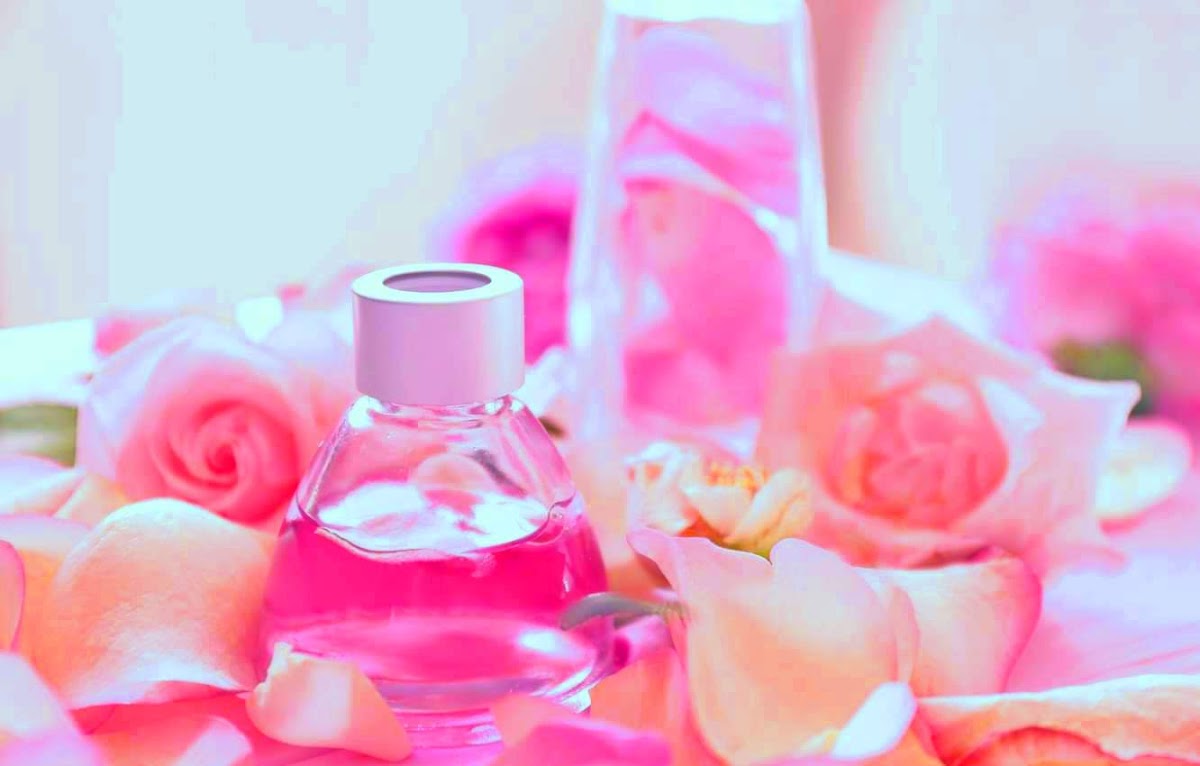 The Store - Perfume Store