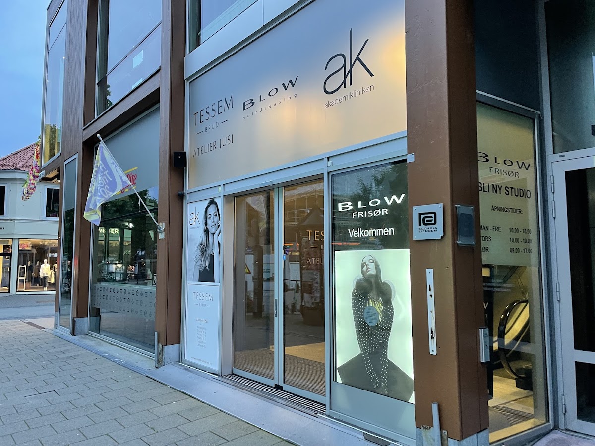 Blow Hairdressing