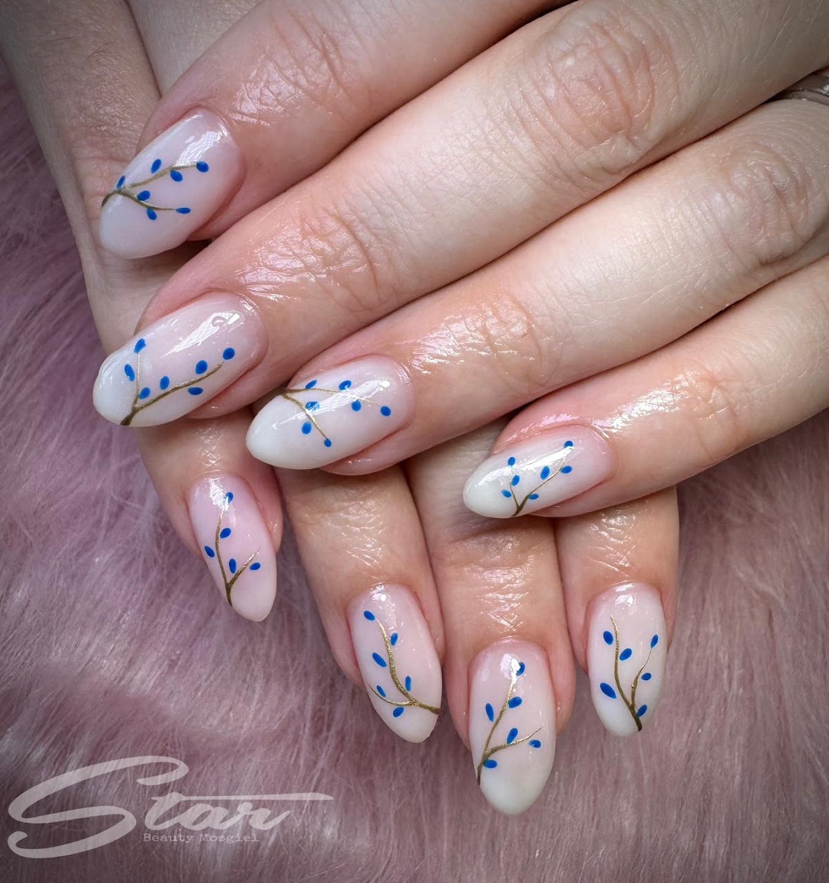 Star Beauty Mosgiel