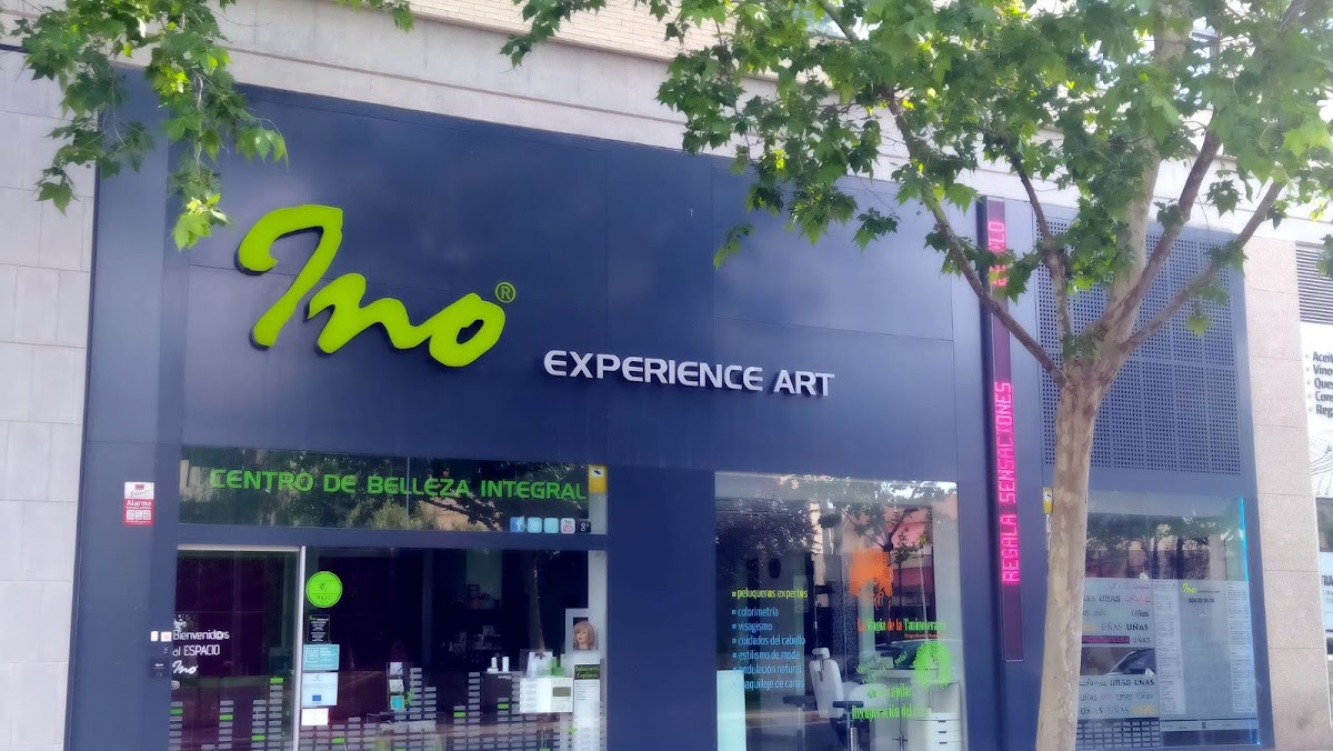 Ino Experience Art