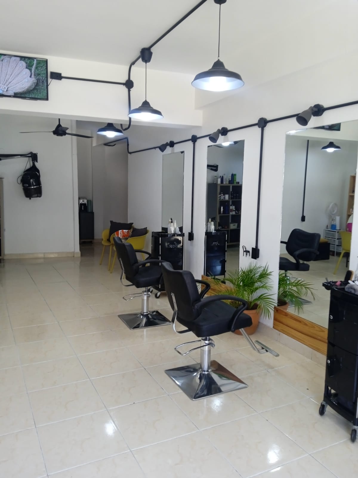 Weber salón unisex y Nails