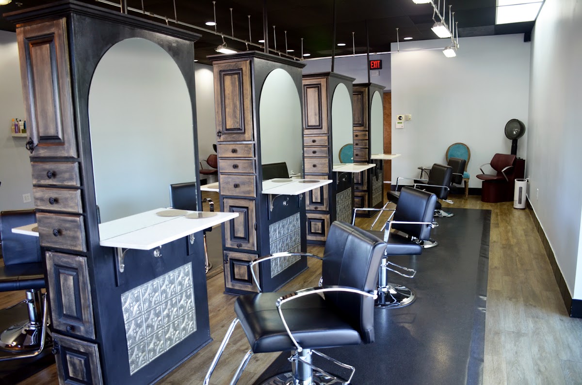 Attitudes A Salon