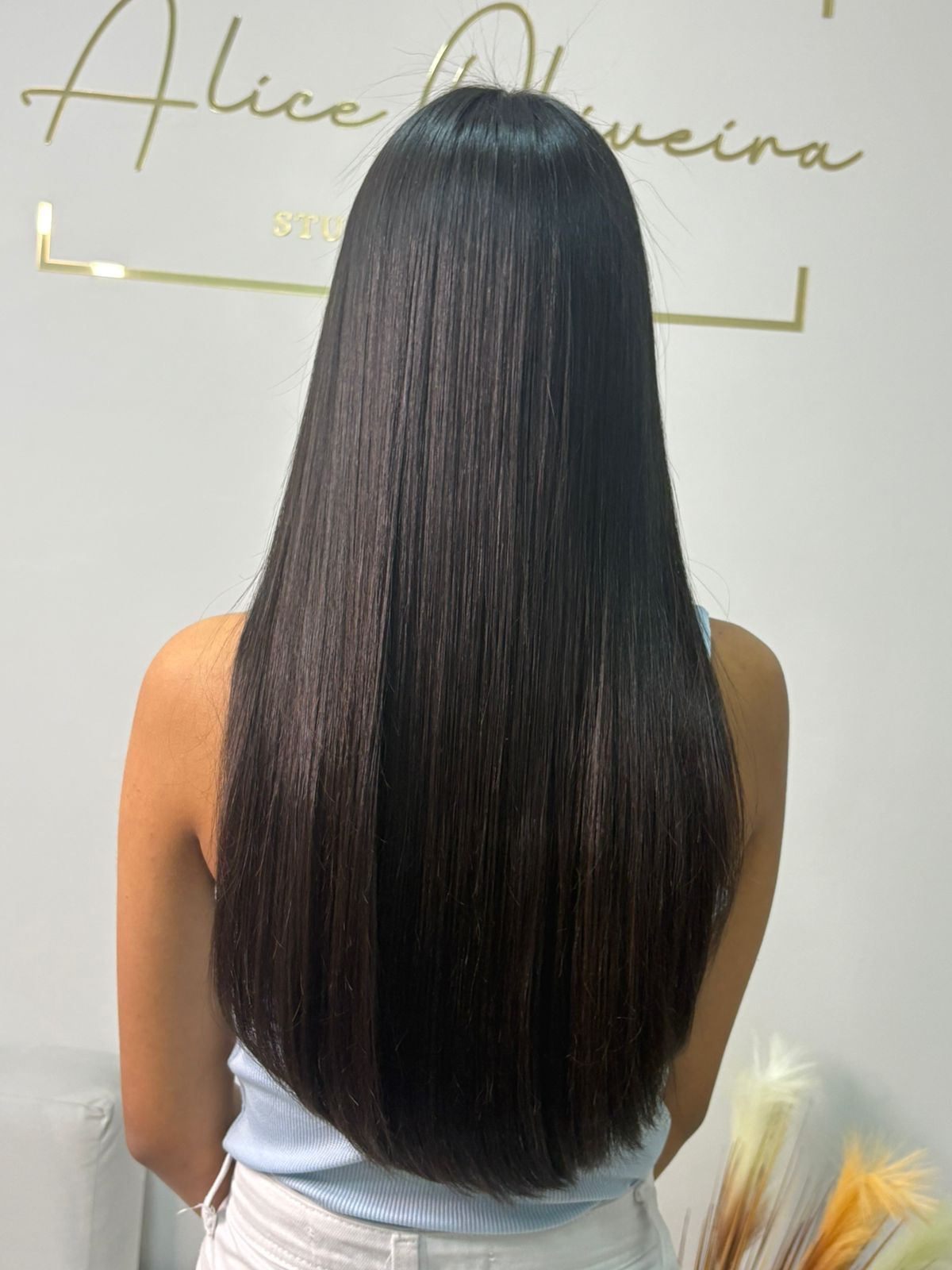 Studio Alice Oliveira Concept