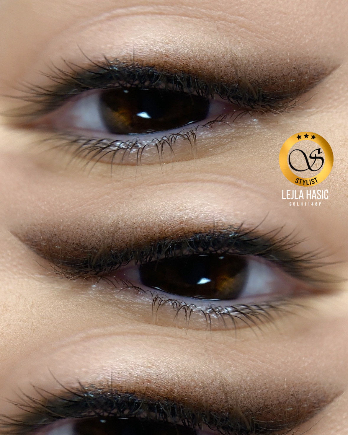 Beauty Studio Wings