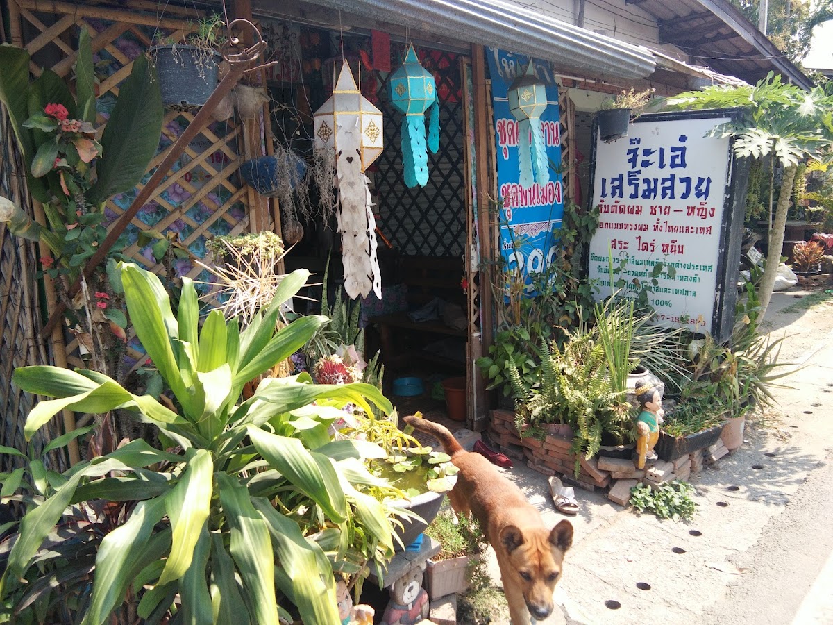 Ran Jaa Ae Serm Suay (Sribunyeun)