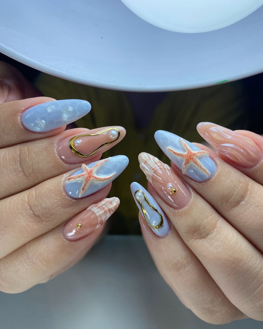 S&C Beauty House