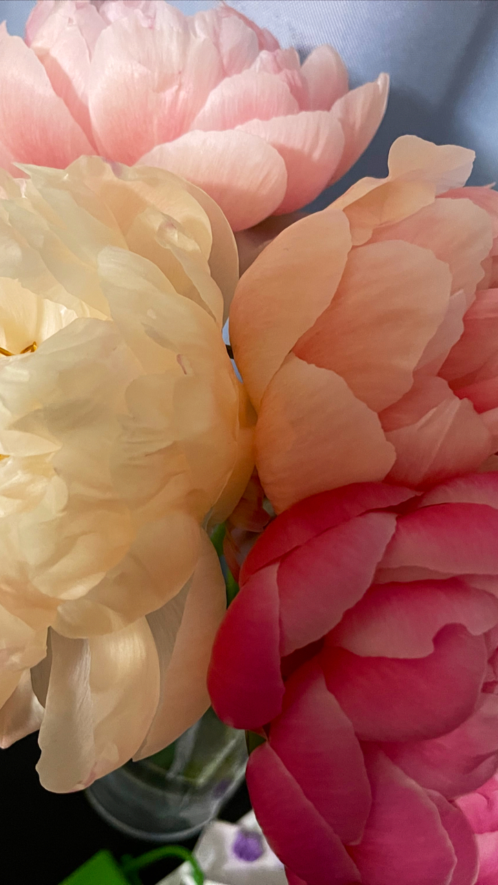Bloom Beauty Studio