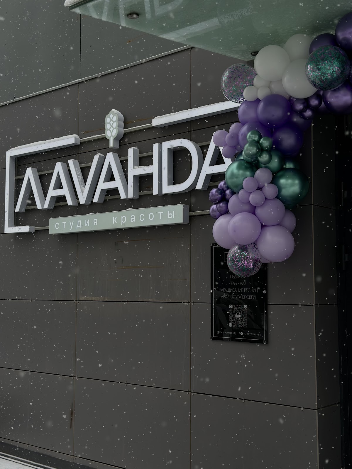 Lavanda