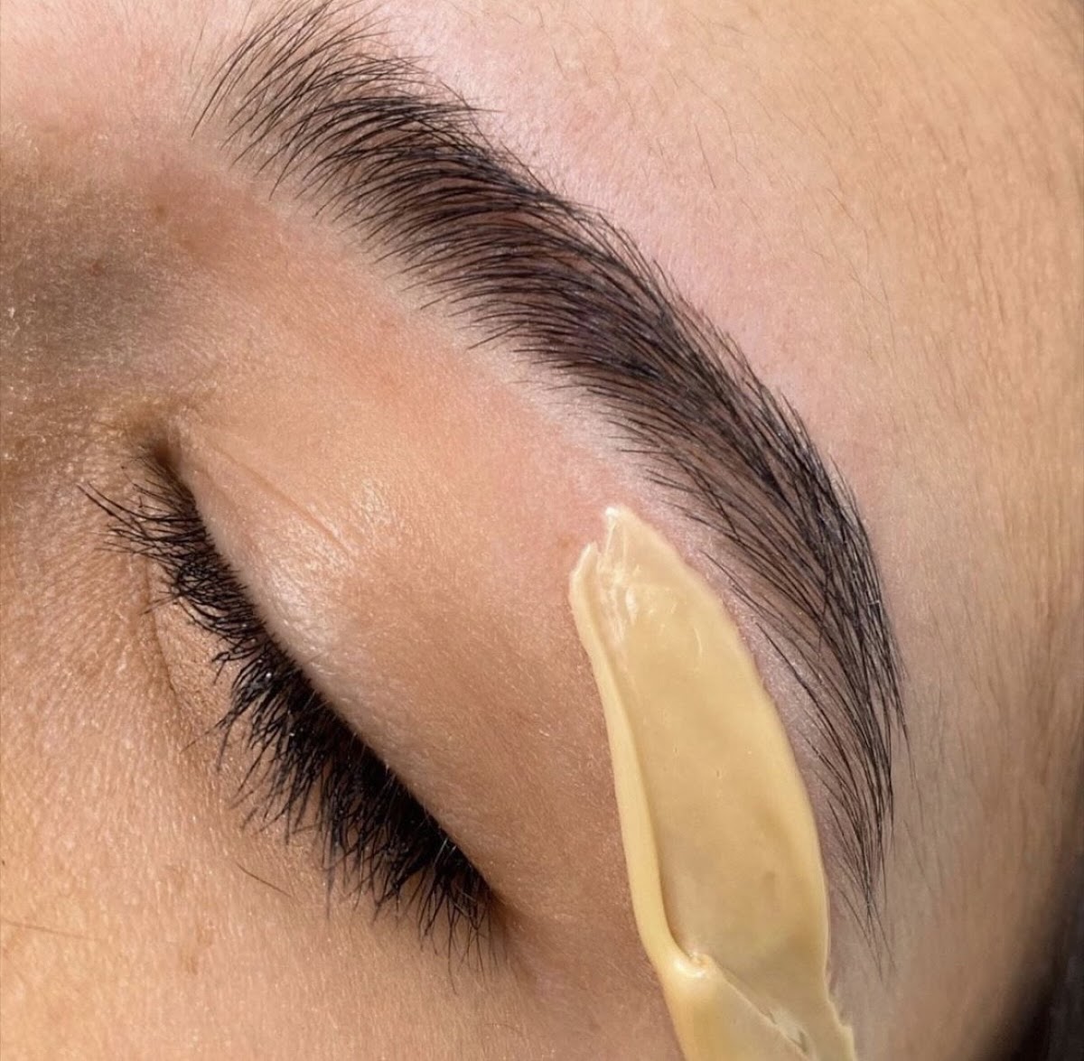 Brows On Trend