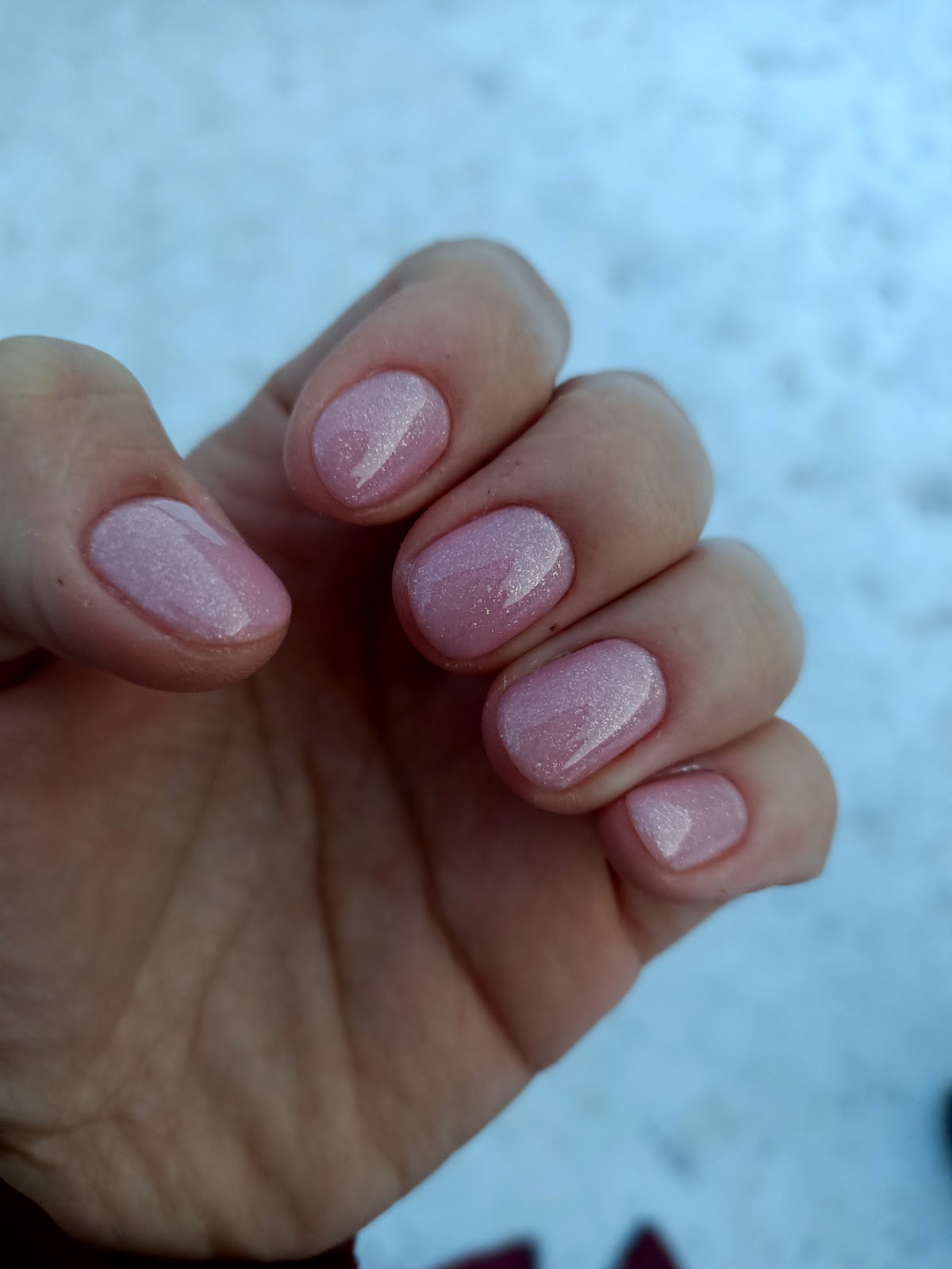 Amo Beauty