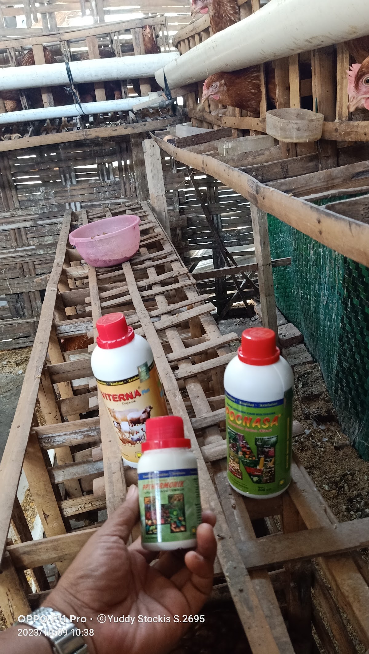 Kosmetik Herbal Yetty Nasa Kesamben Jombang