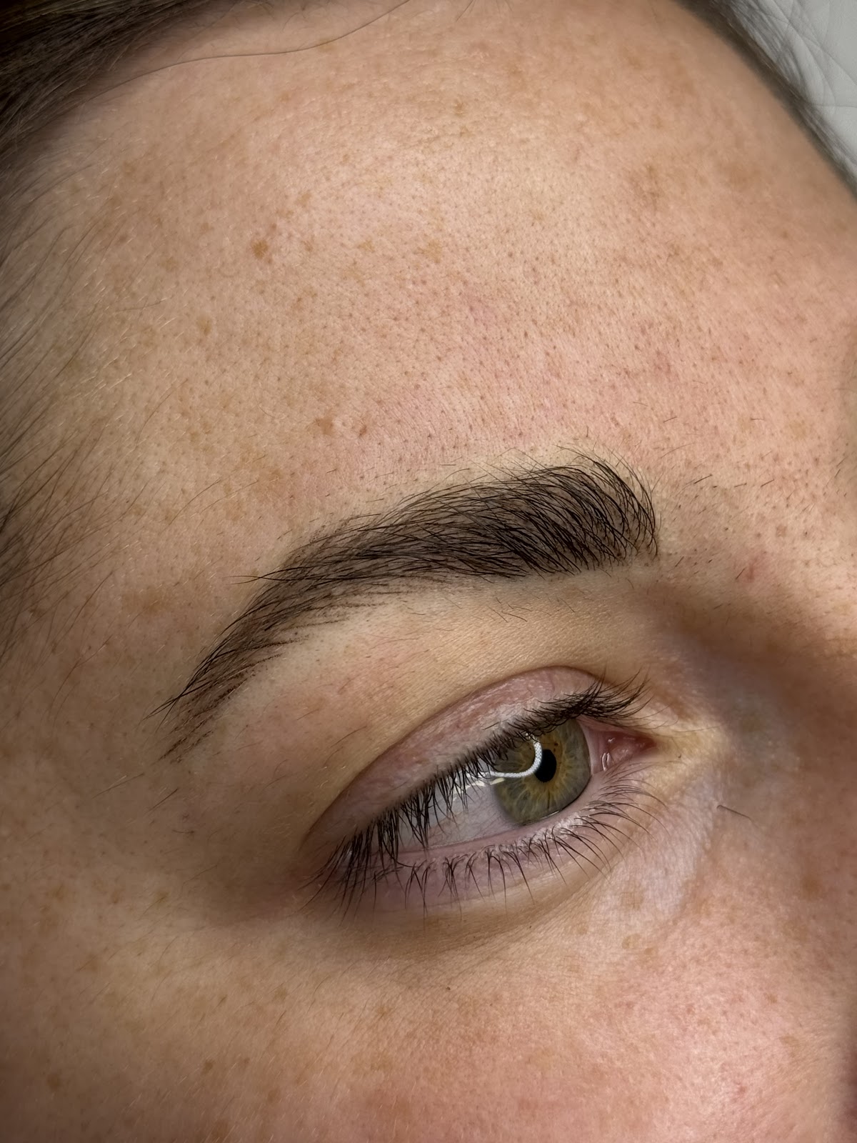 Anneth Susana Lash & Brow
