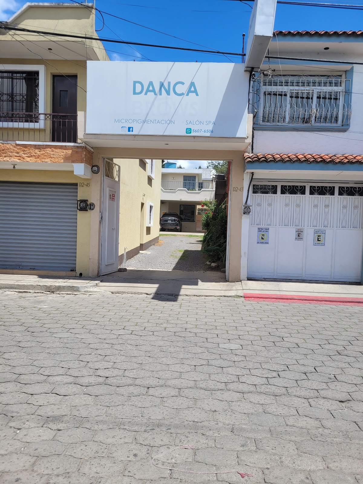 Danca Brows