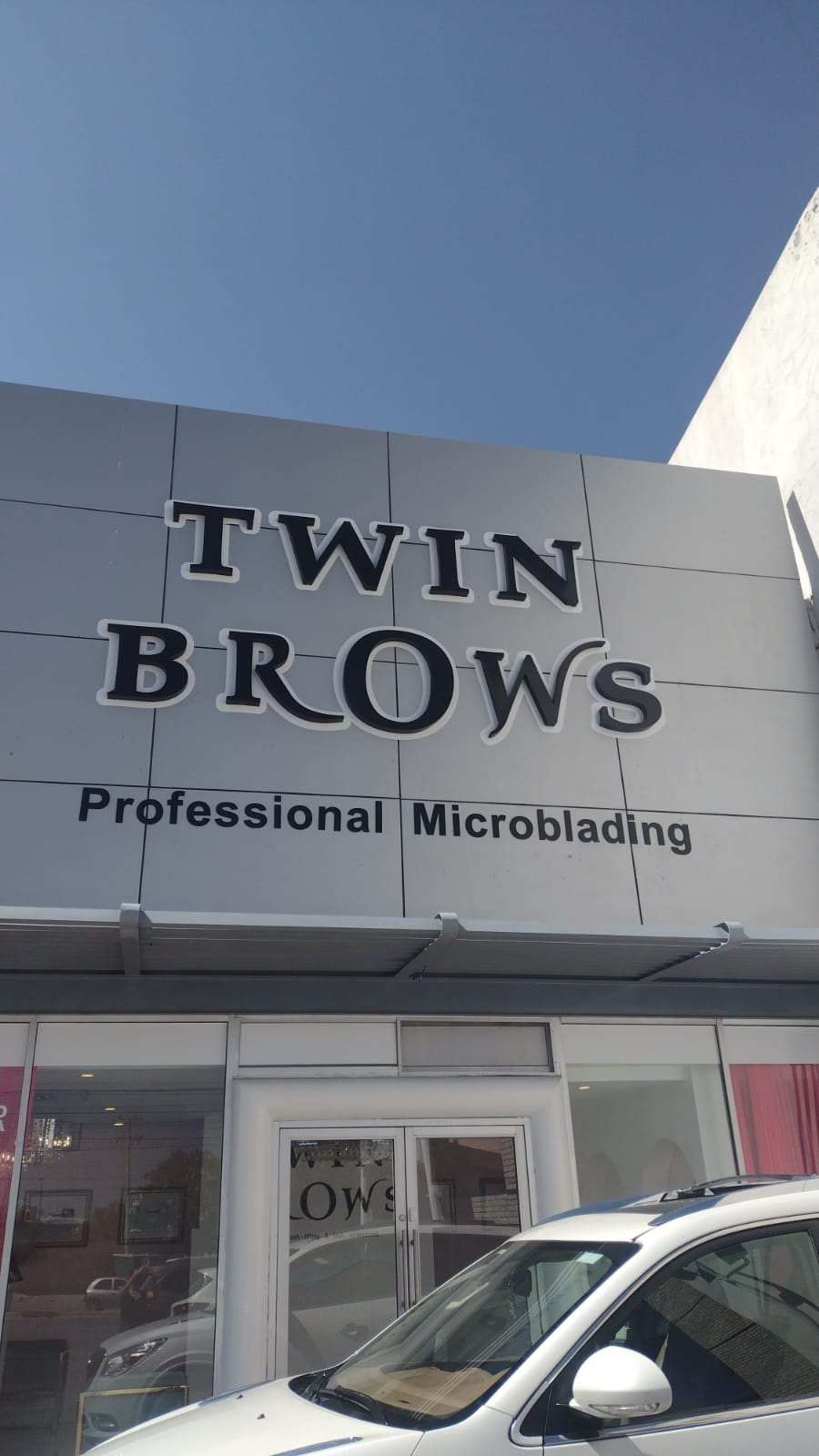 Twinbrows Professional Microblading