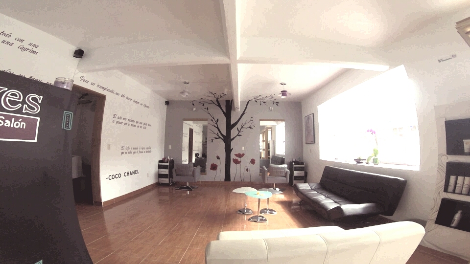 Leaves Salon