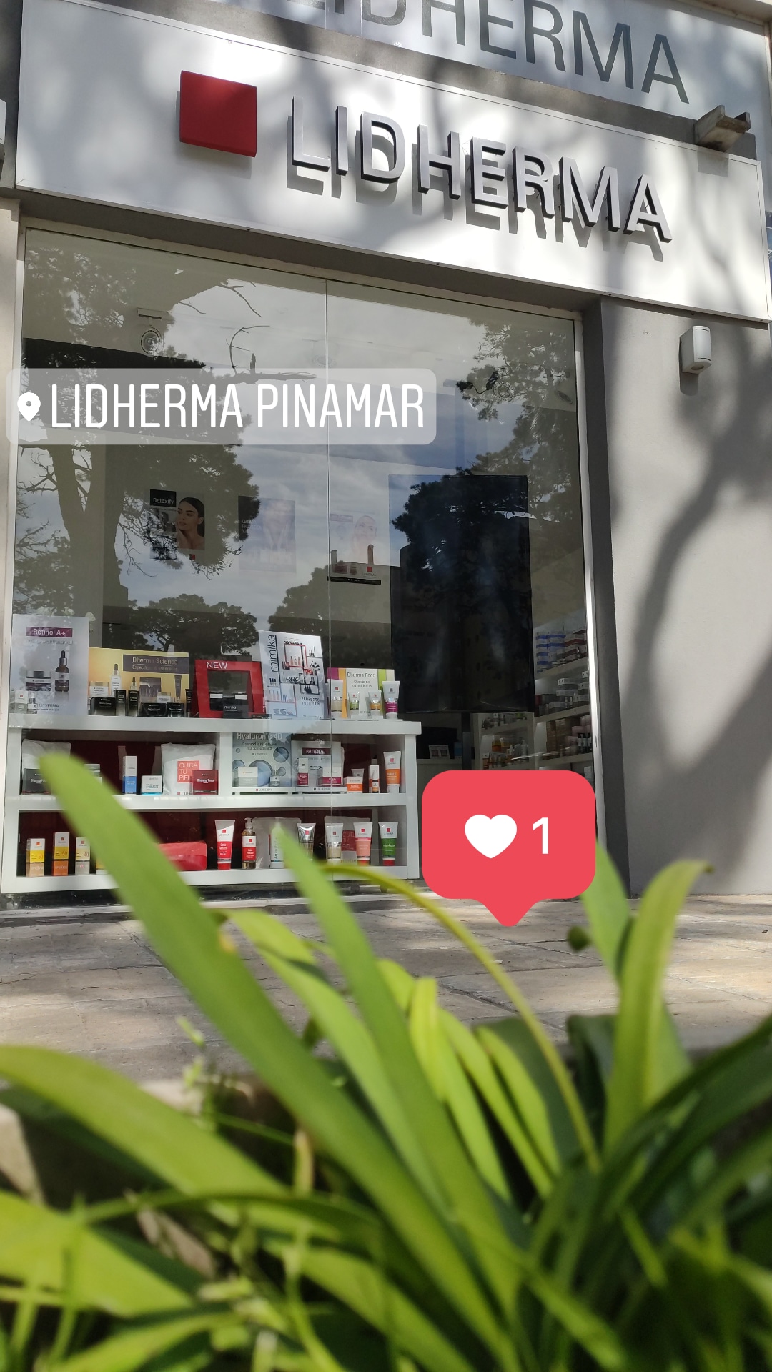 Lidherma Pinamar