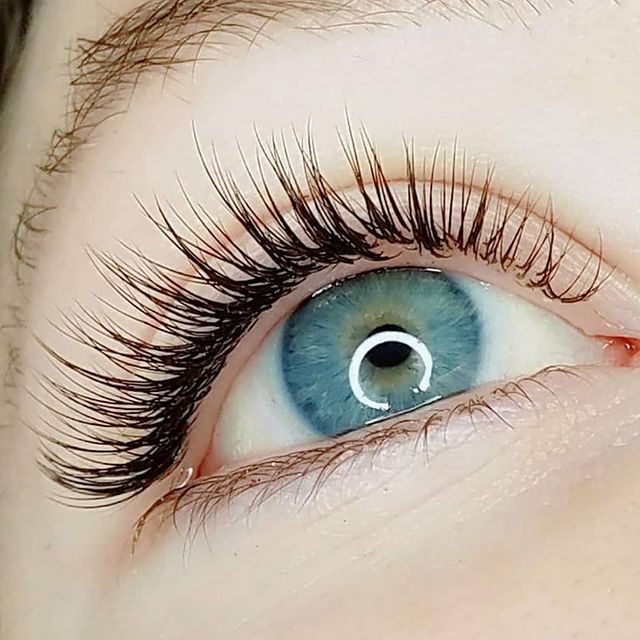 Brow + Arrow Beauty Co.