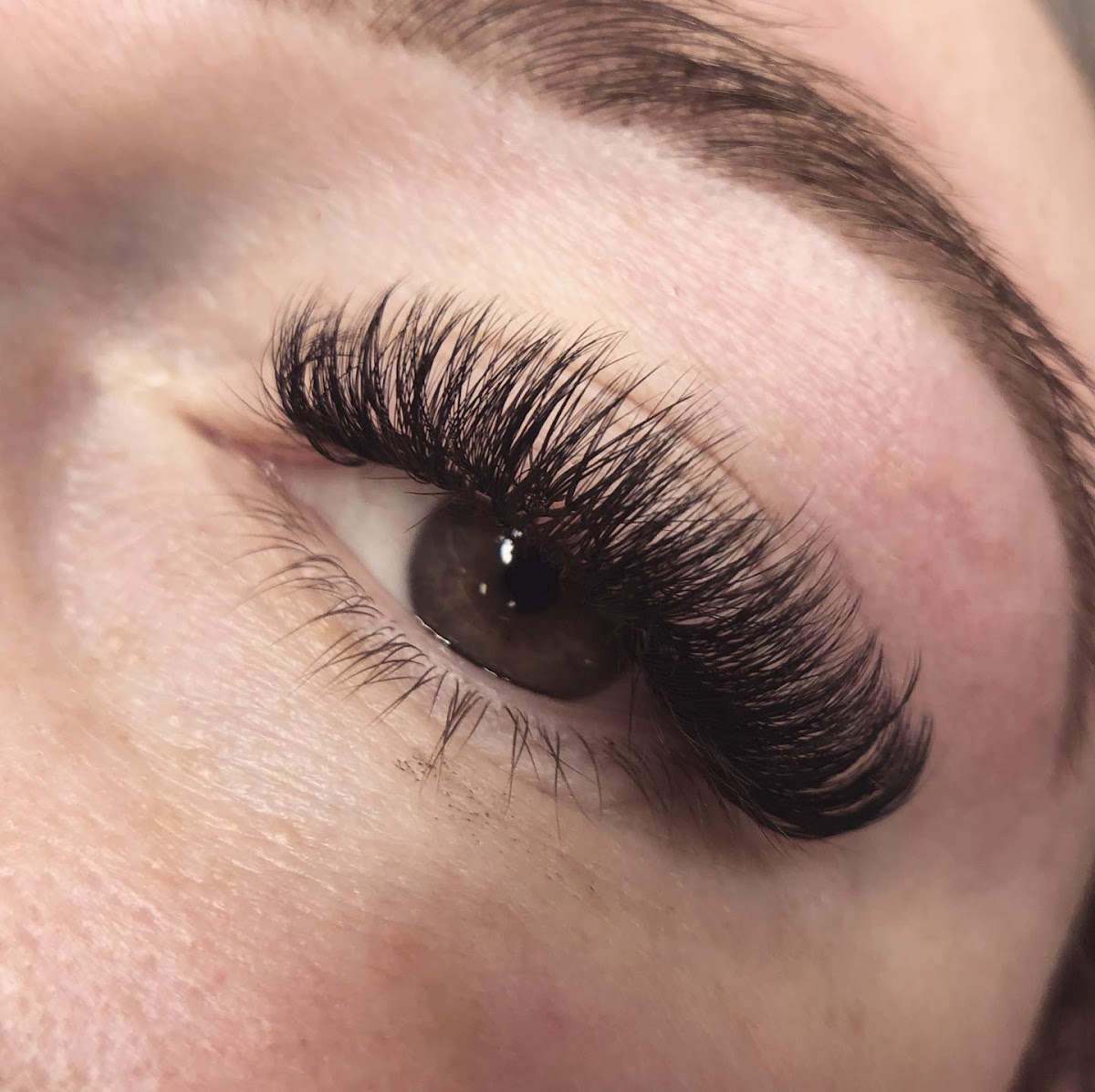 Zen Lash & Brow Bar