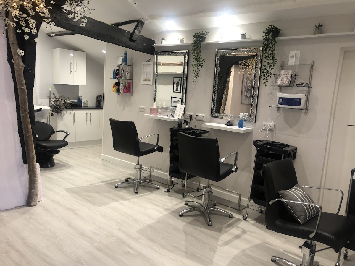 The Beauty Cave