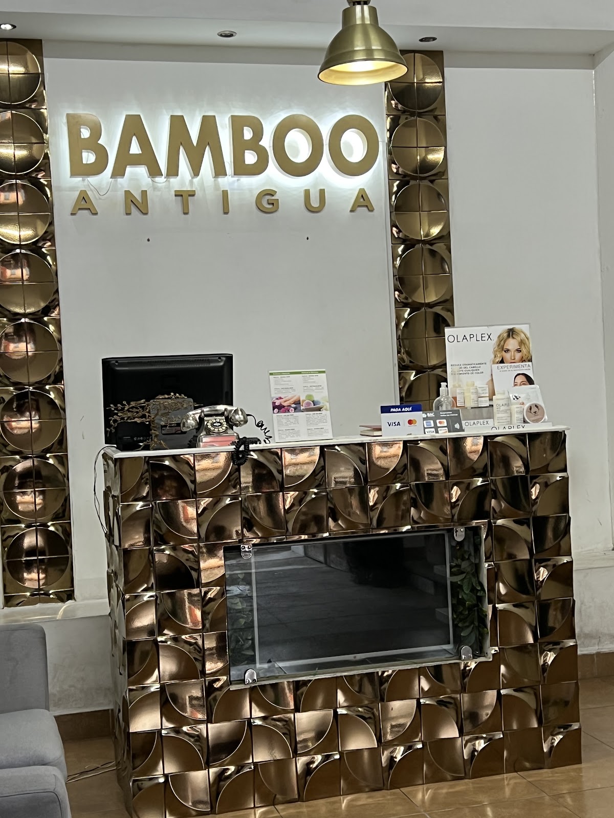 Bamboo Antigua