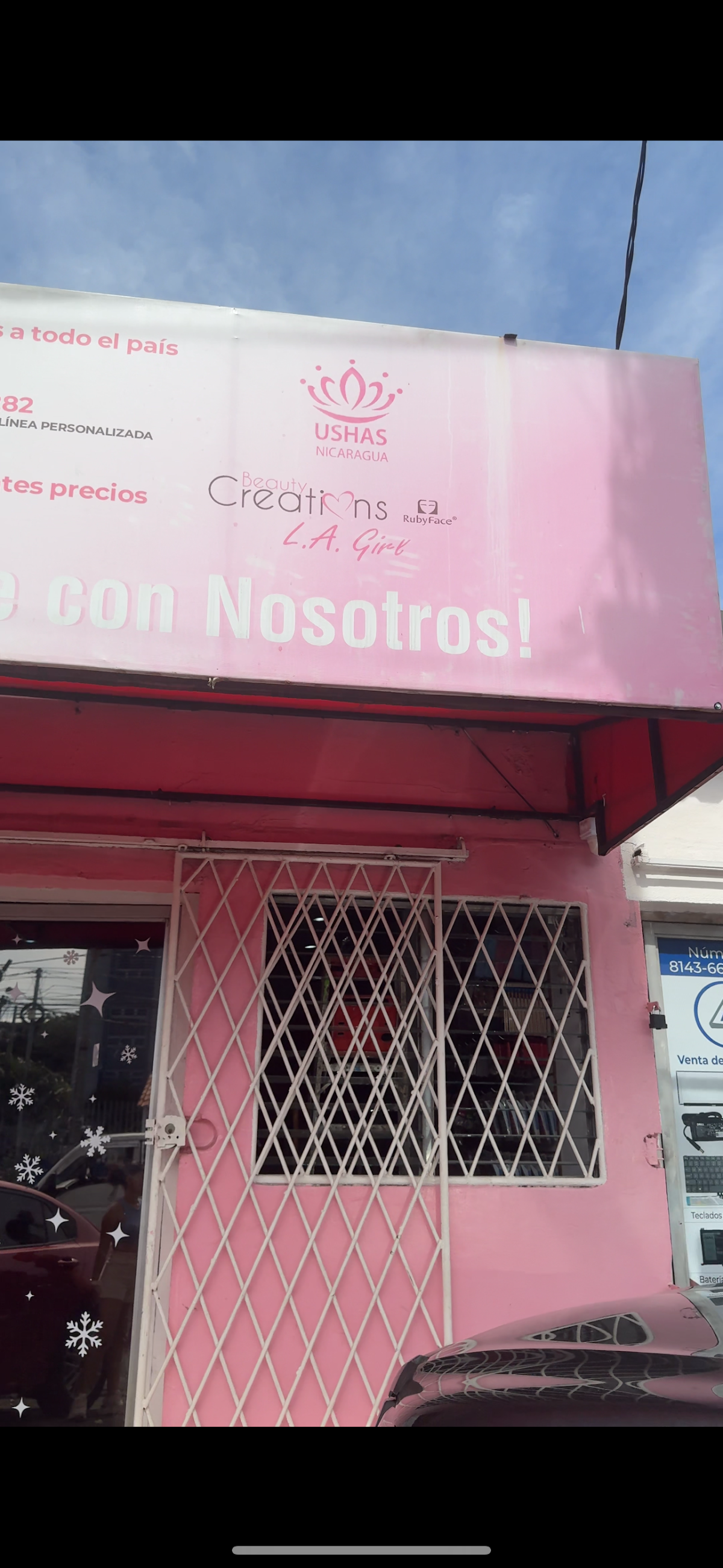 Brillos La Coqueta
