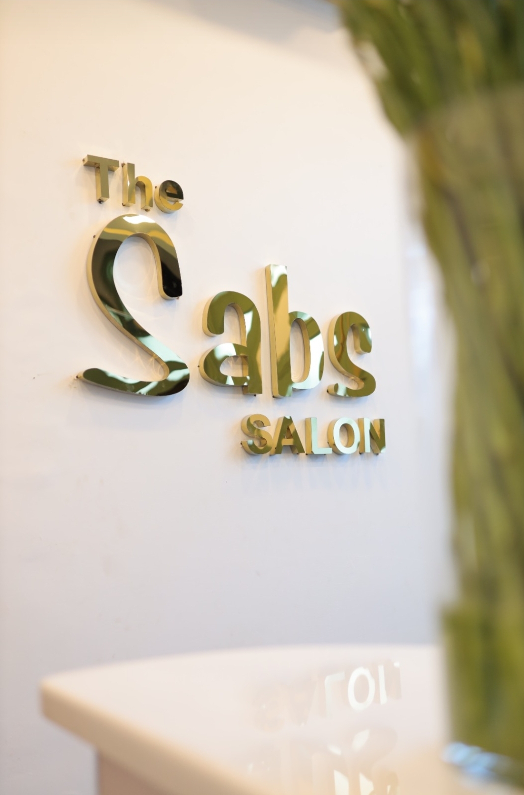 The Sabs Salon