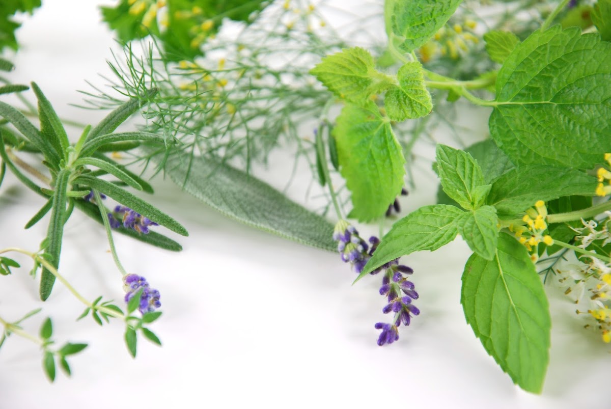 Organic Cosme No.1