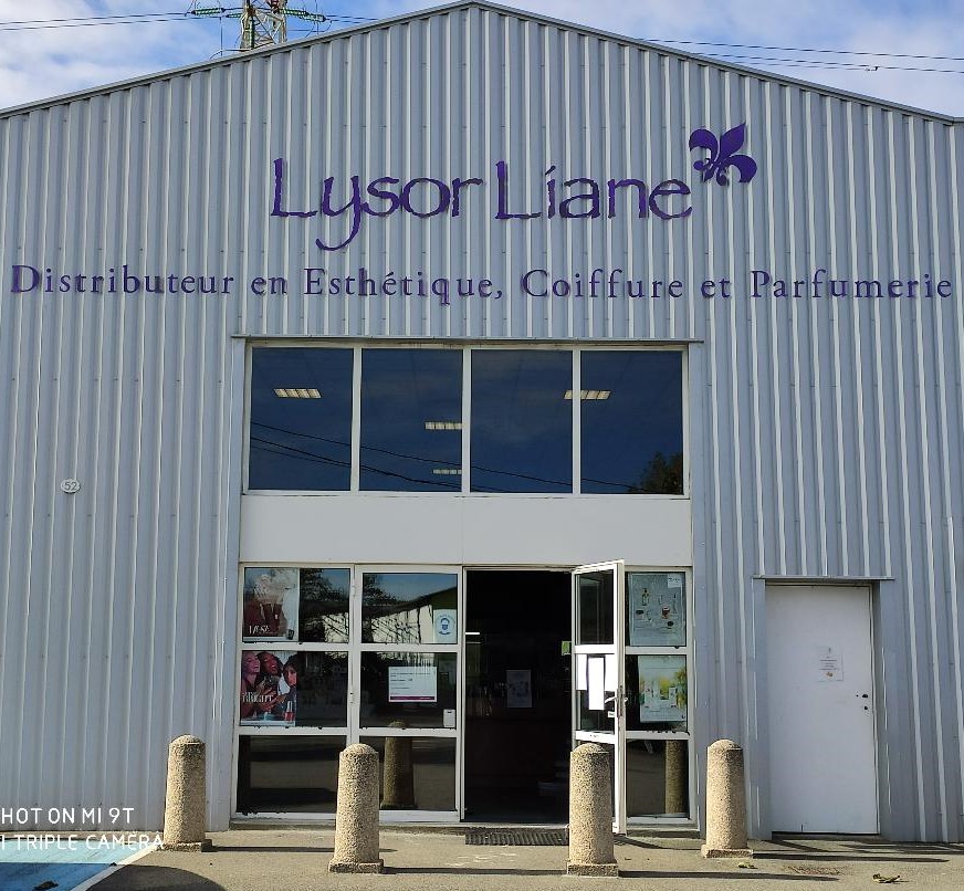 Lysor Liane