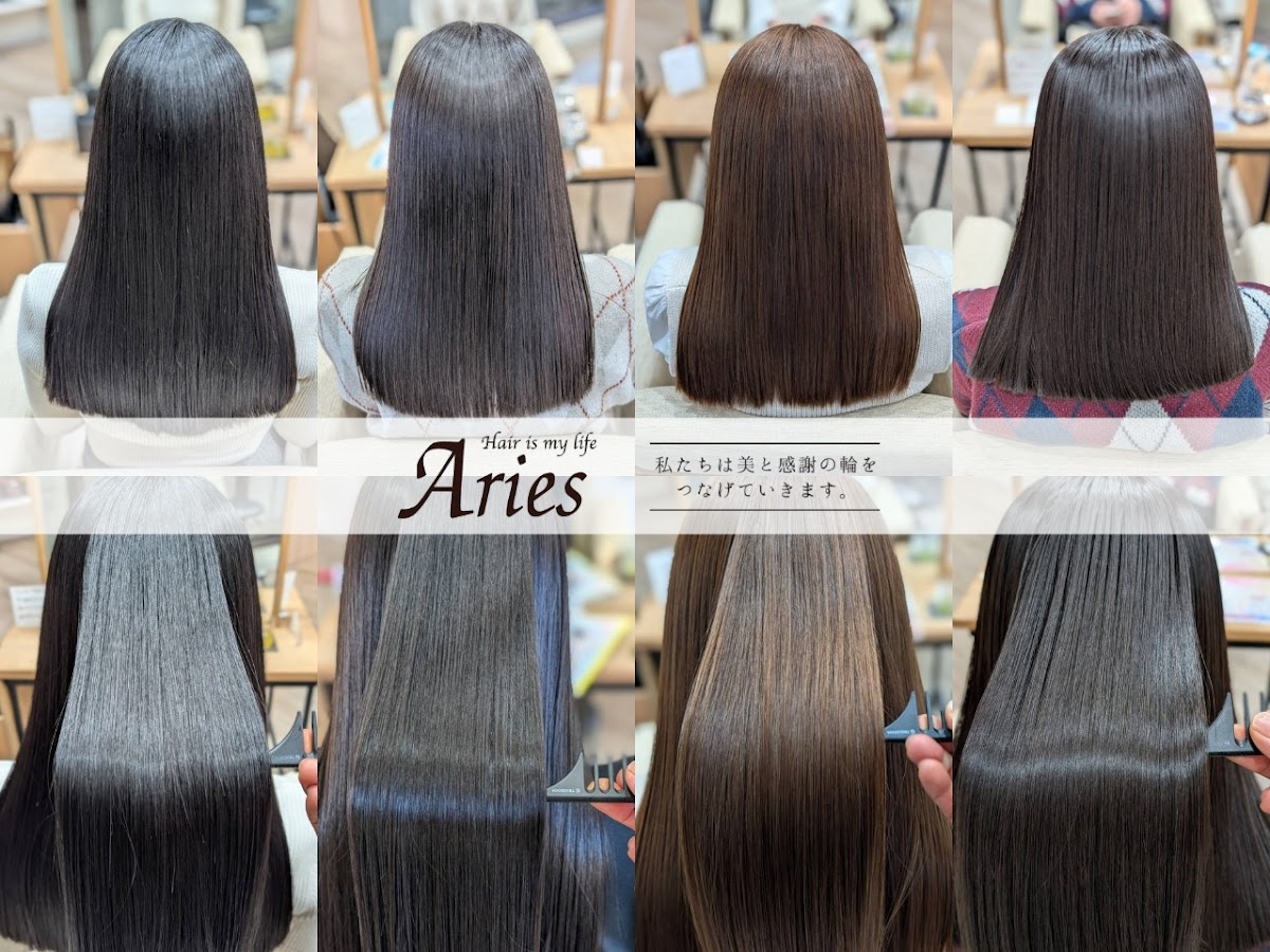 Aries Minami-Toyama-ten
