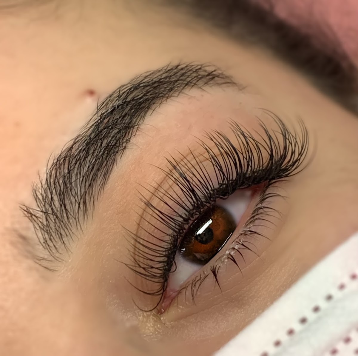 The Lash & Beauty Lounge