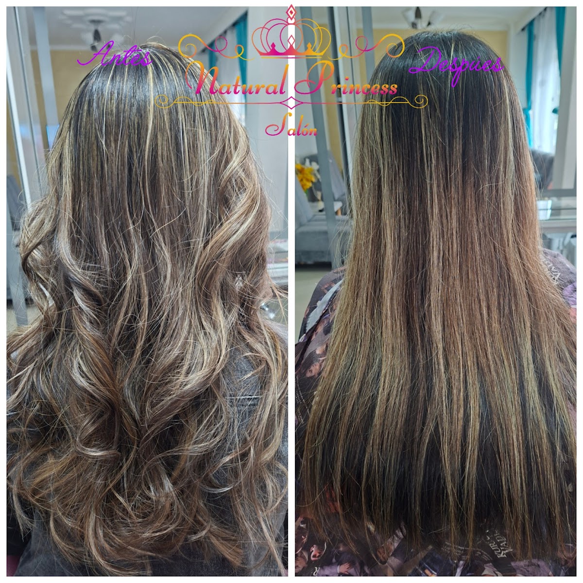 Salon Natural Princess