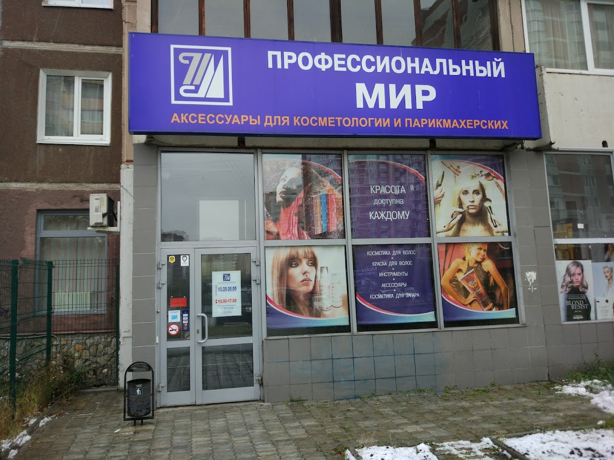 Professional'nyy Mir