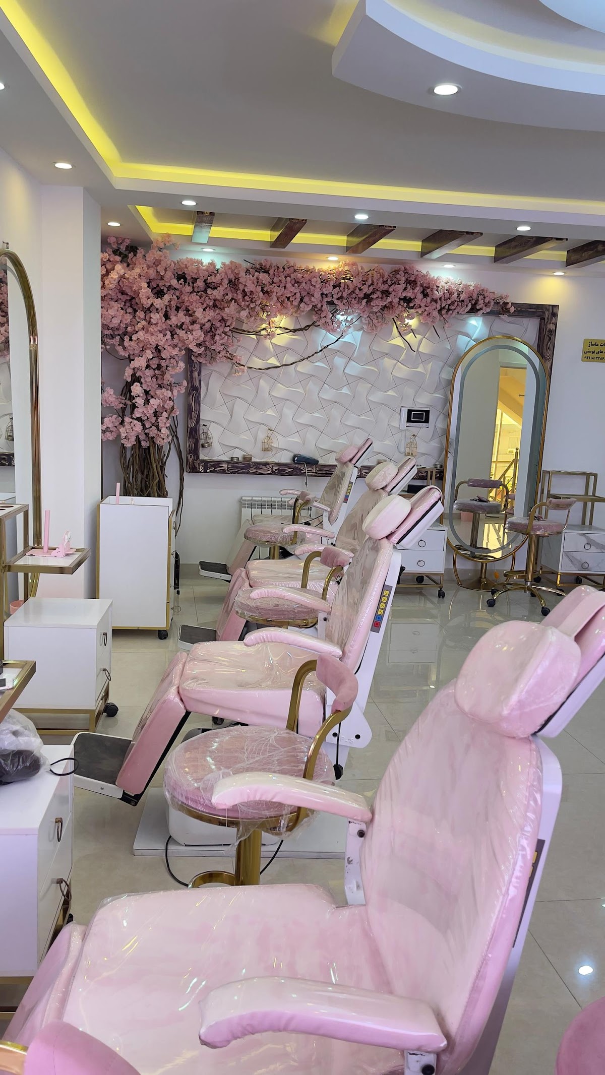 Pink Salon