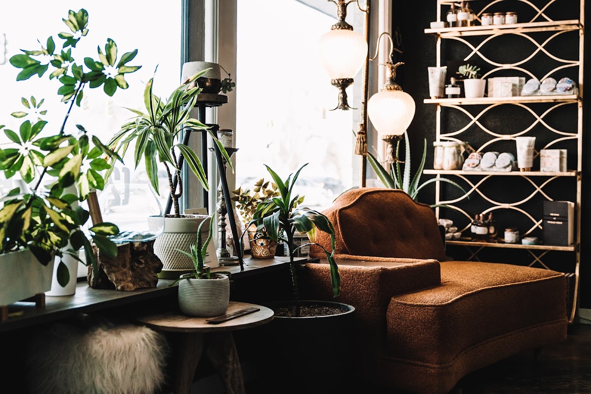 The Eclectic Chair
