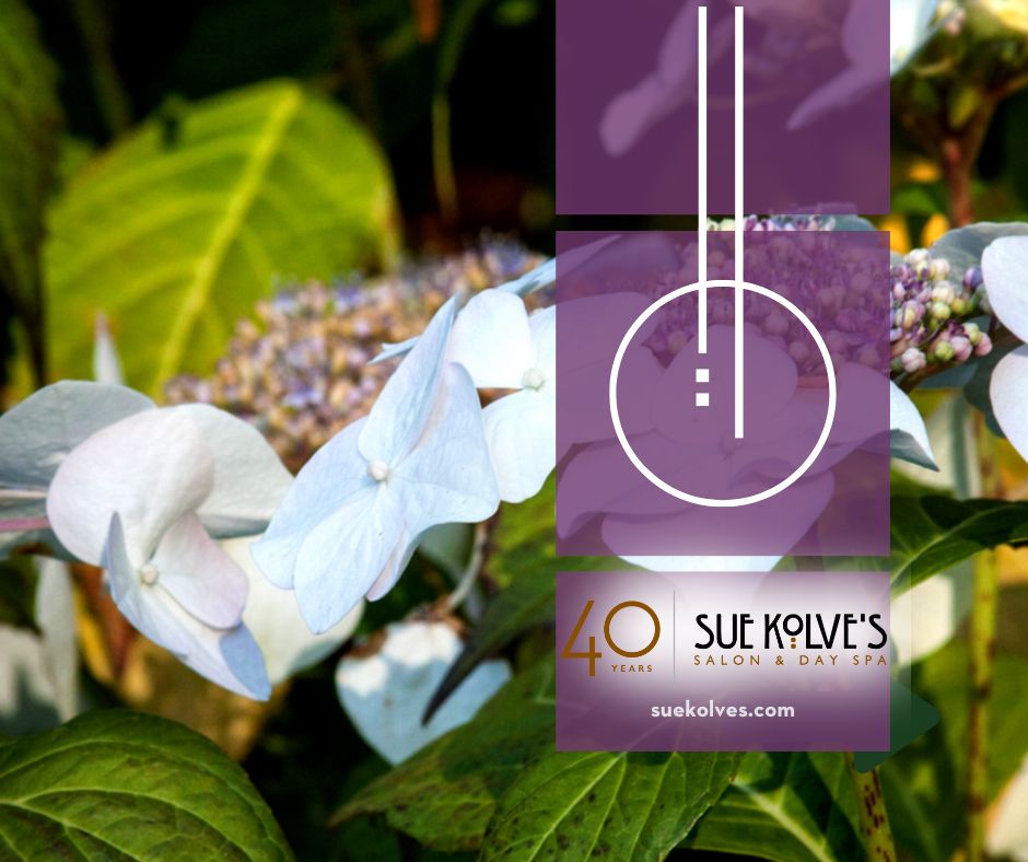 Sue Kolve's Salon & Day Spa