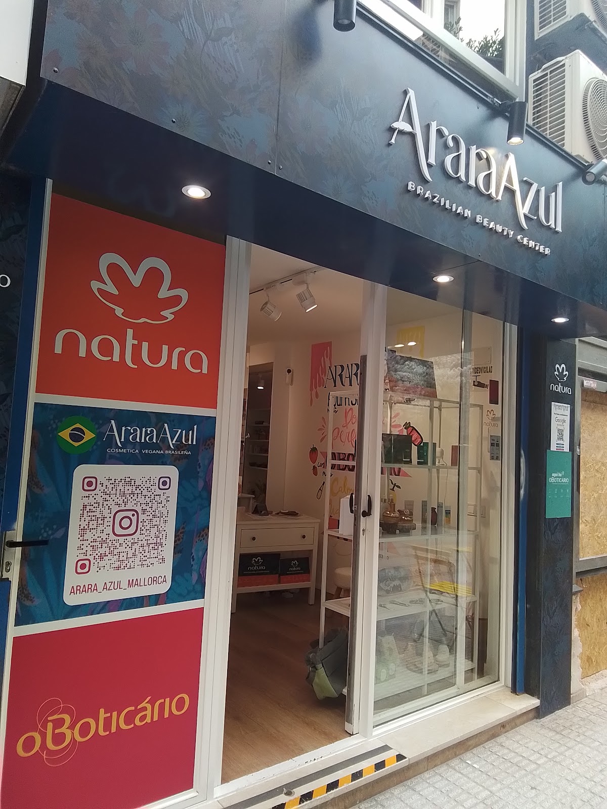 Arara Azul Palma