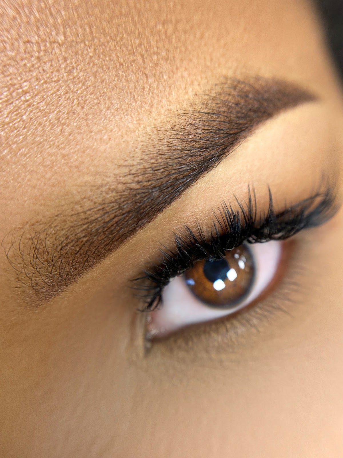 The Eye Designer by Neilly