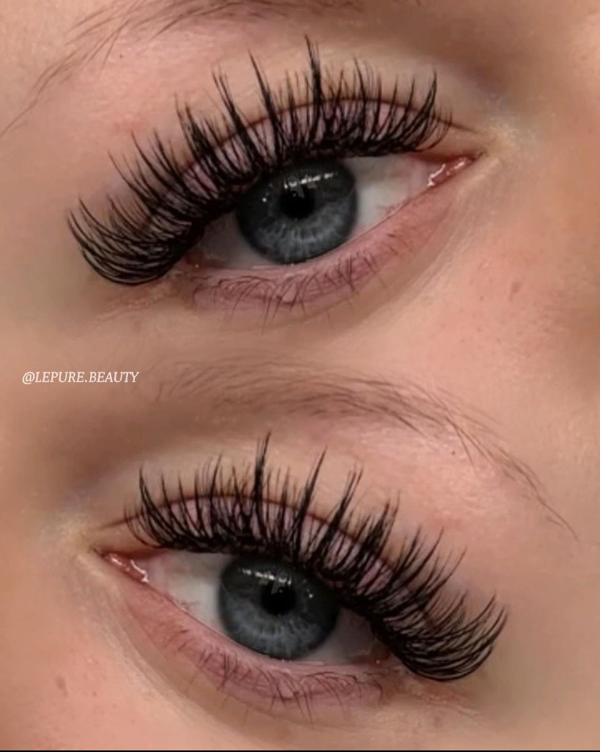 Le Pure Beauty Lab