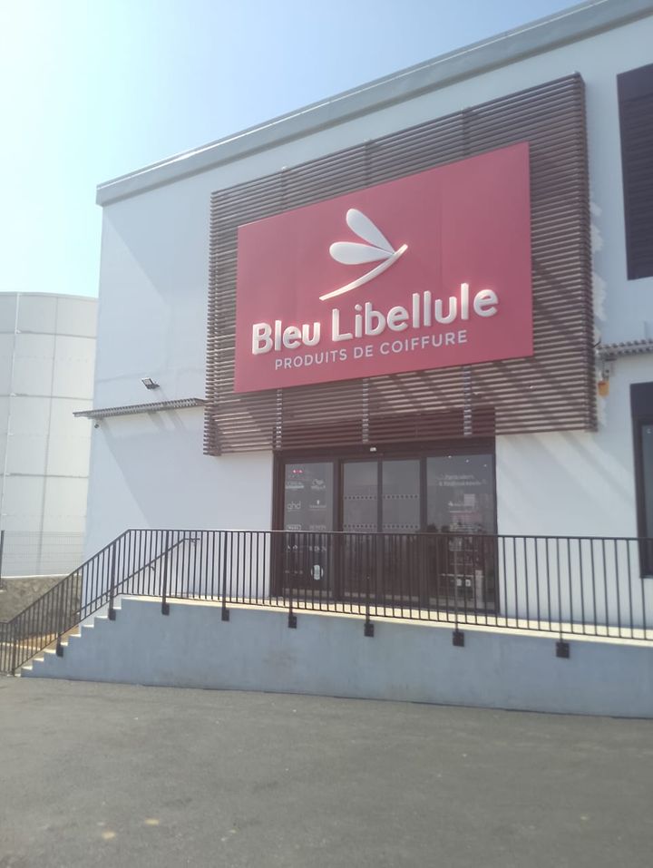 Bleu Libellule St Leu