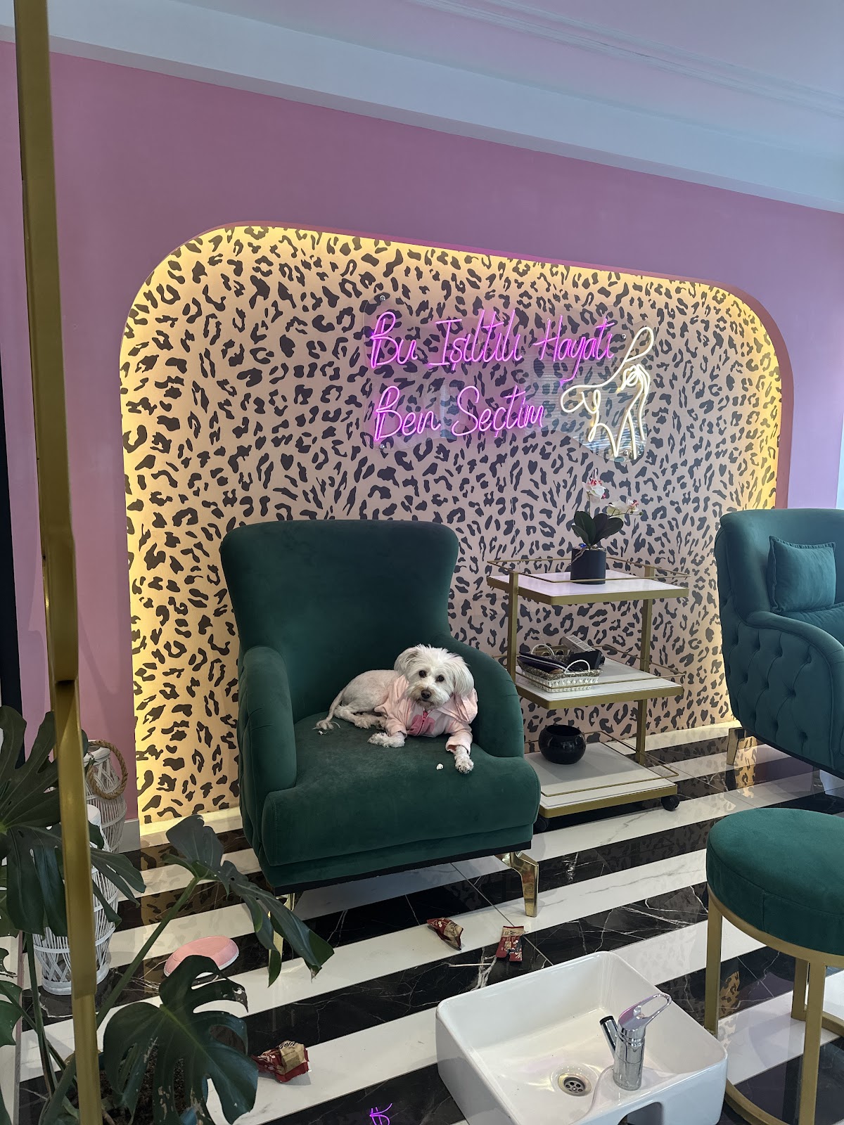Mayda Venus Beauty & Kuafor
