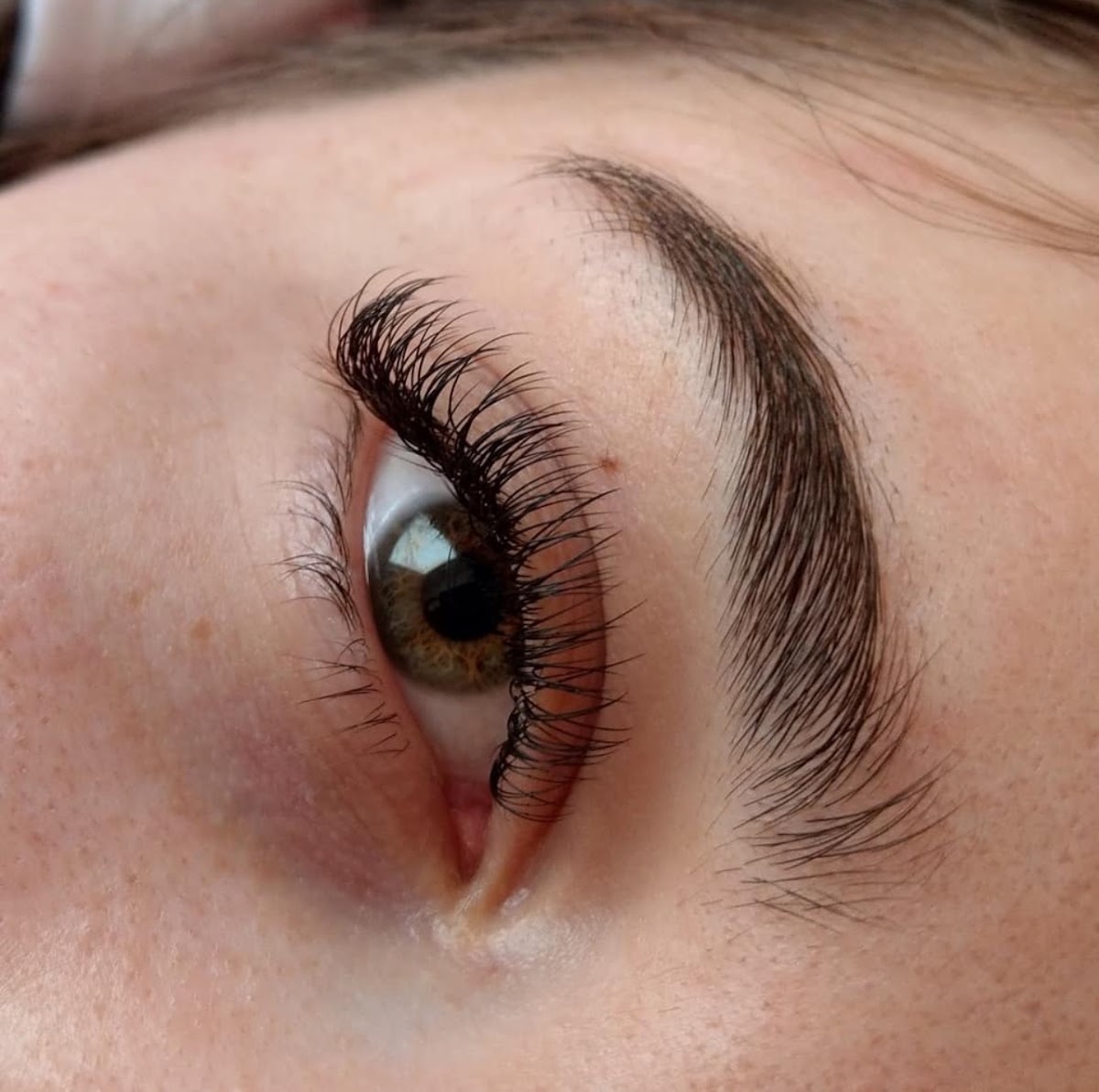 Lash & Beauty