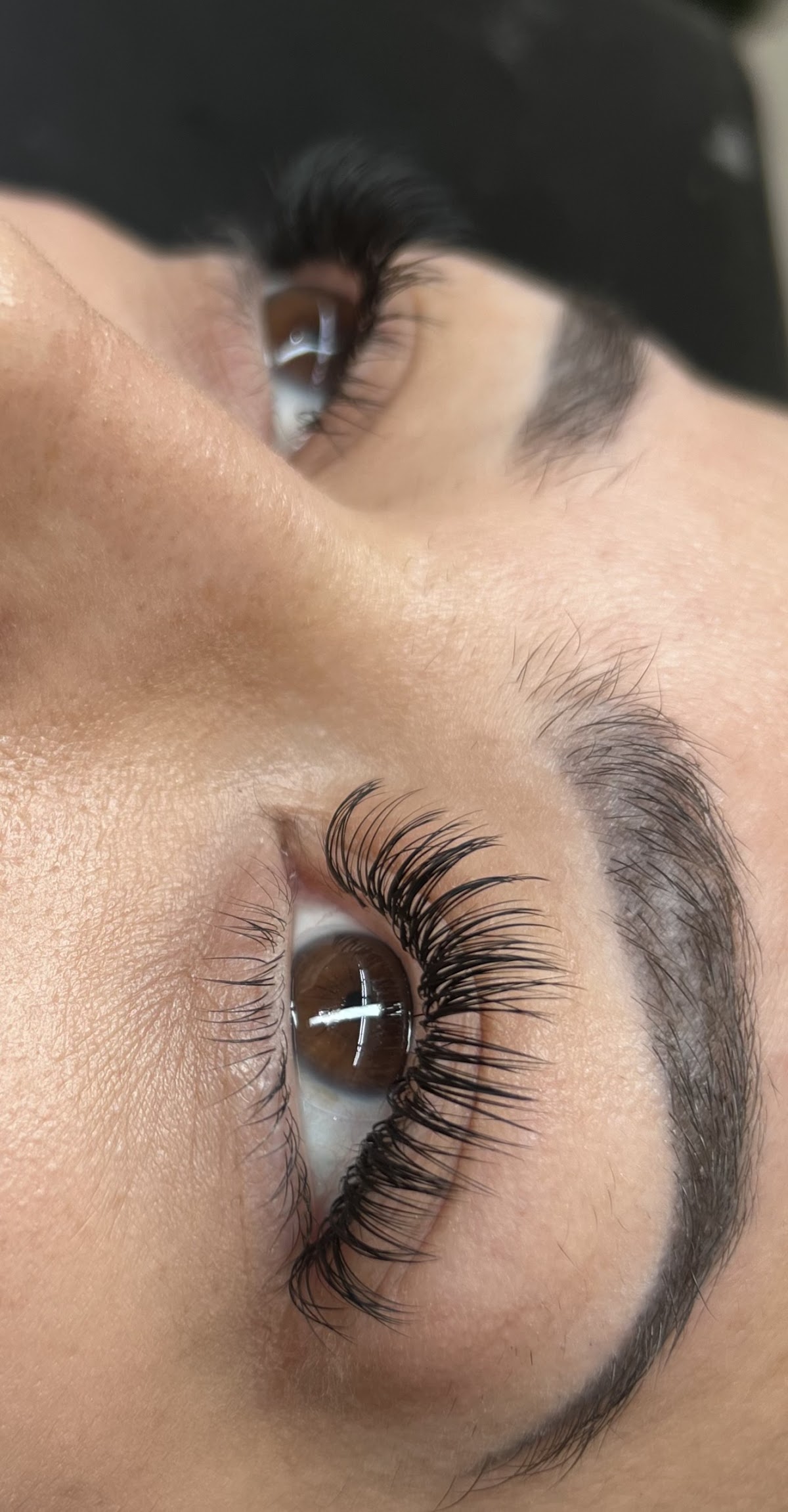 M LASH