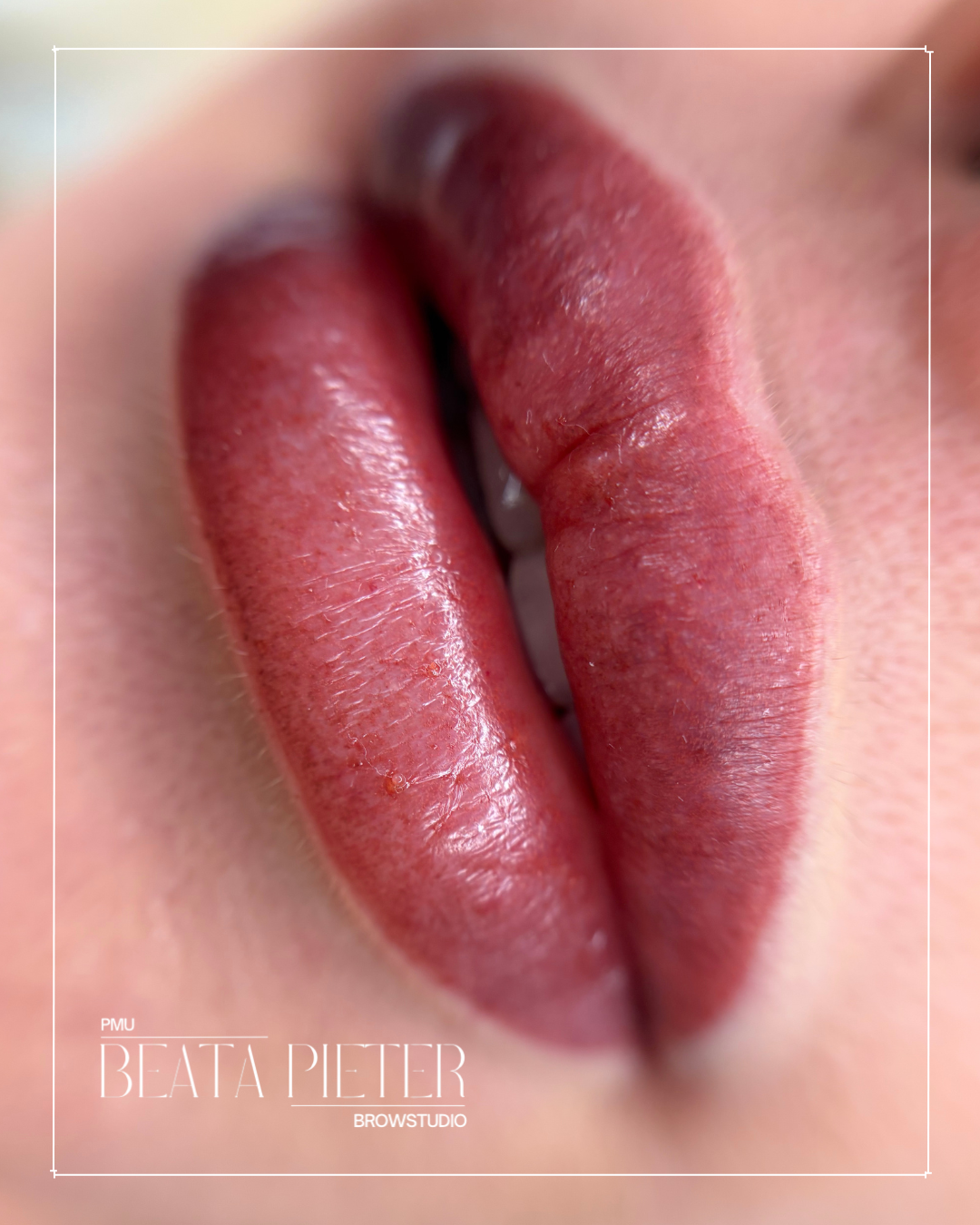 Beata Pieter Browstudio PMU