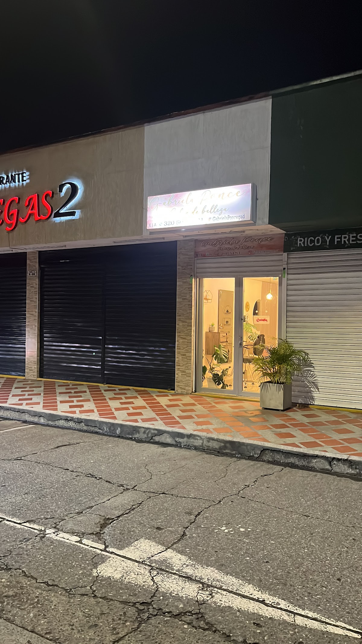 Gabriela Ponce SALON